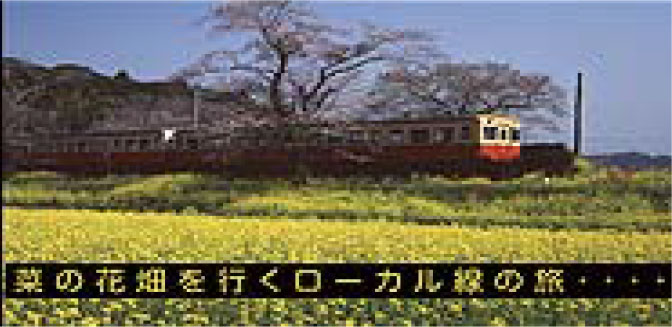 Leader Closed Captioning Option