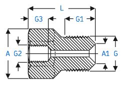SKF_729106_100MPA_Connection_nipple_(NPT_and_G)
